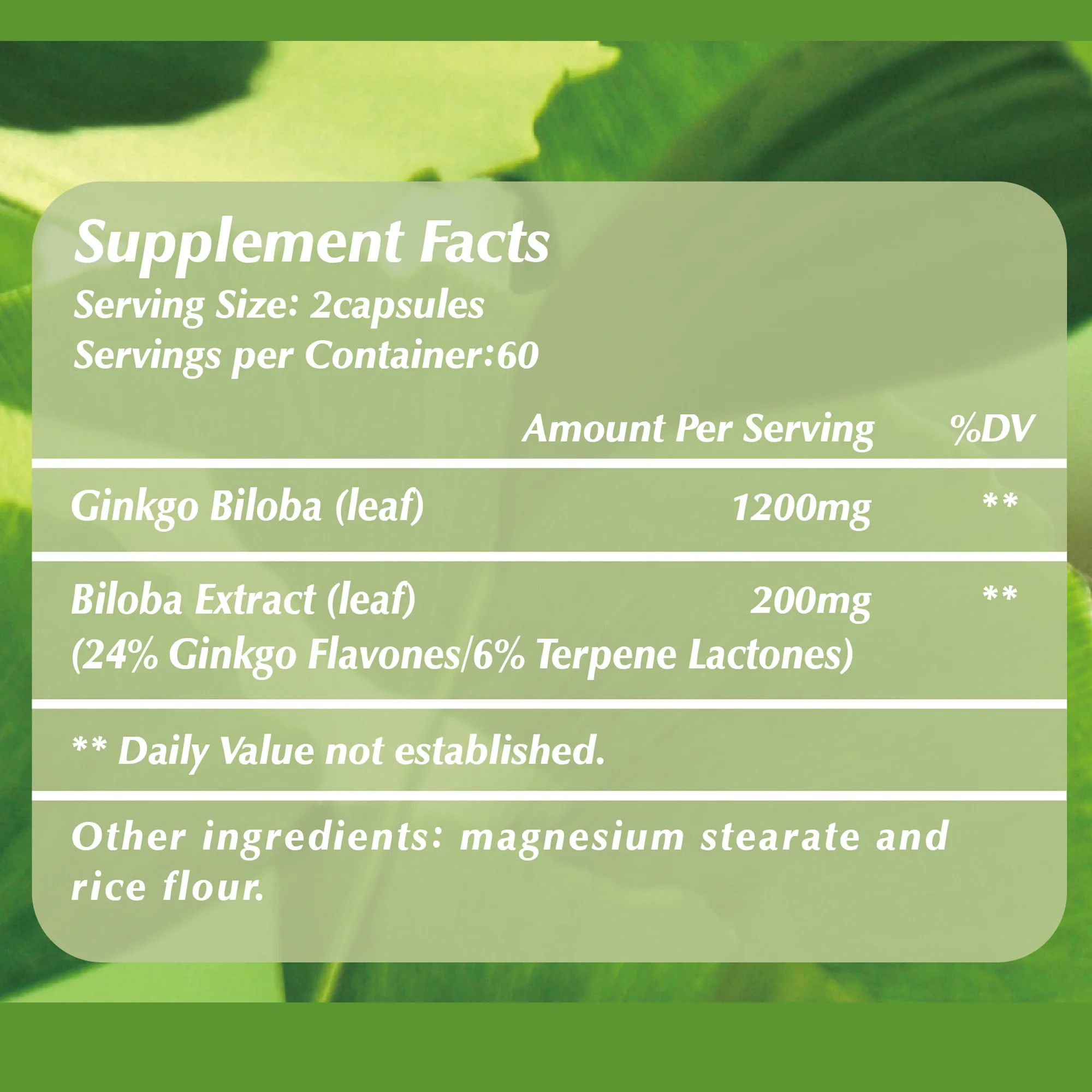 Ginkgo Biloba Capsules - Brain Health, Improving Concentration & Memory - 120 Capsules