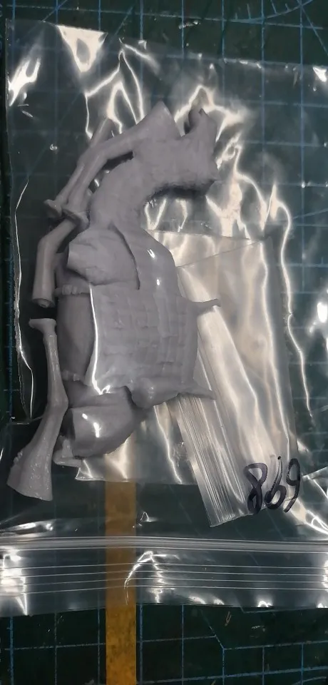 Buyer photo of this resin kit