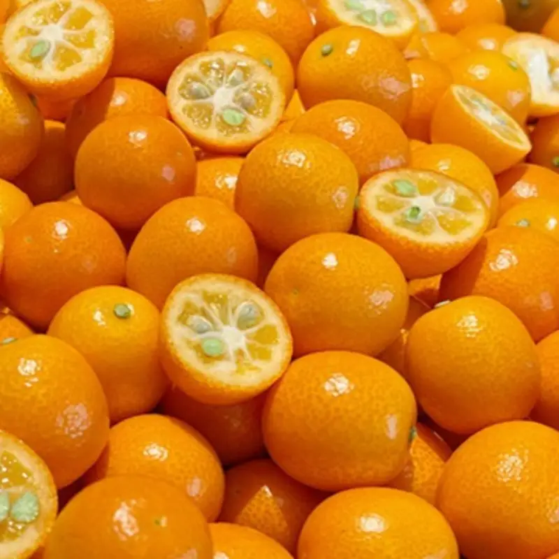 ○ Jeju's sweet and sour kumquat