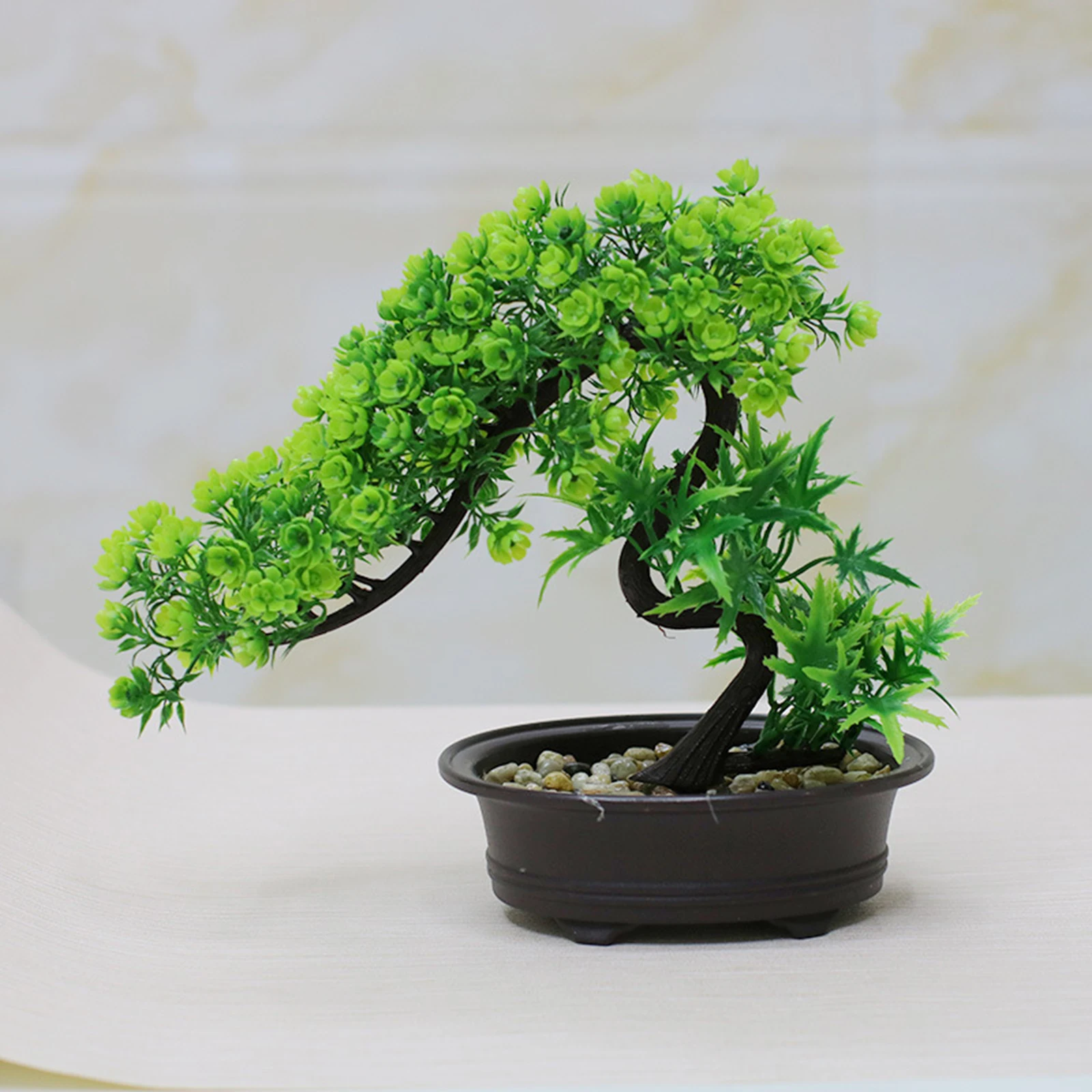 morini bonsai Callery Pear Bonsai  Bella Bonsai Nursery
