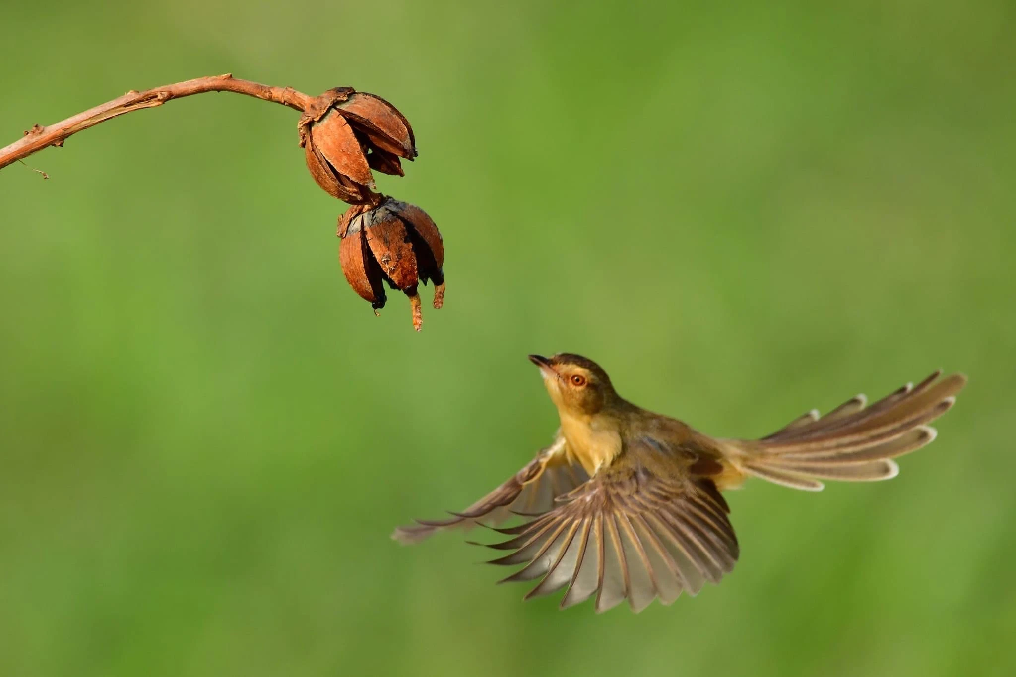 

350ml Mint Julep Mug Stainless Steel Cocktail Mug Mixed Drinks Mug Martini Mojito Drink Bar Party Beer Mugs