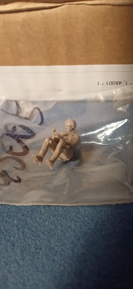 Buyer photo of this resin kit
