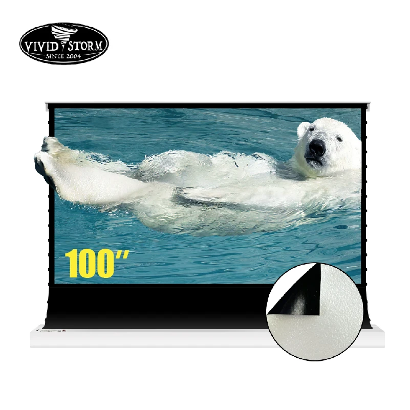 

VIVIDSTORM 100 Inch Electric Floor Screen Pearlescent White Cinema Plu Ambient Light Rejecting for Normal Projector