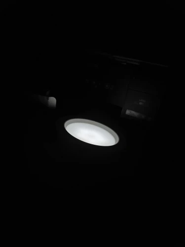 실물 포토 리뷰