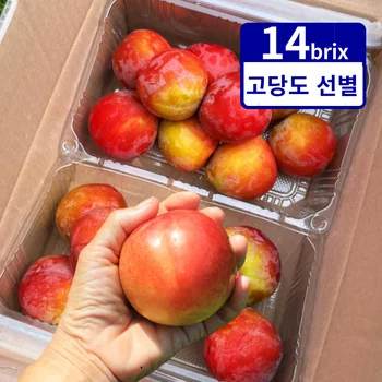 달달한 의성 후무사 자두 1kg 중/중대/대/왕특과 외 (아이스박스포장) 