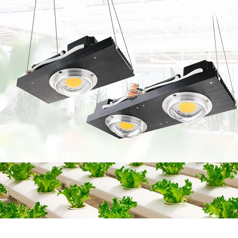 CXB3590 COB oświetlenie LED do uprawy Full Spectrum 100W 200W Citizen LED lampa do uprawy roślin na namiot wewnętrzny szklarnie roślina hydroponiczna — zdjęcie 2