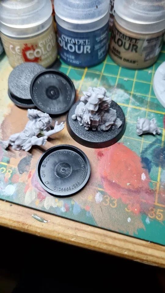 Buyer photo of this resin kit