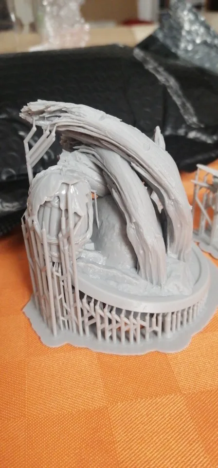 Buyer photo of this resin kit
