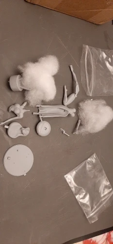 Buyer photo of this resin kit