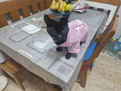 Imagen de reseña 1