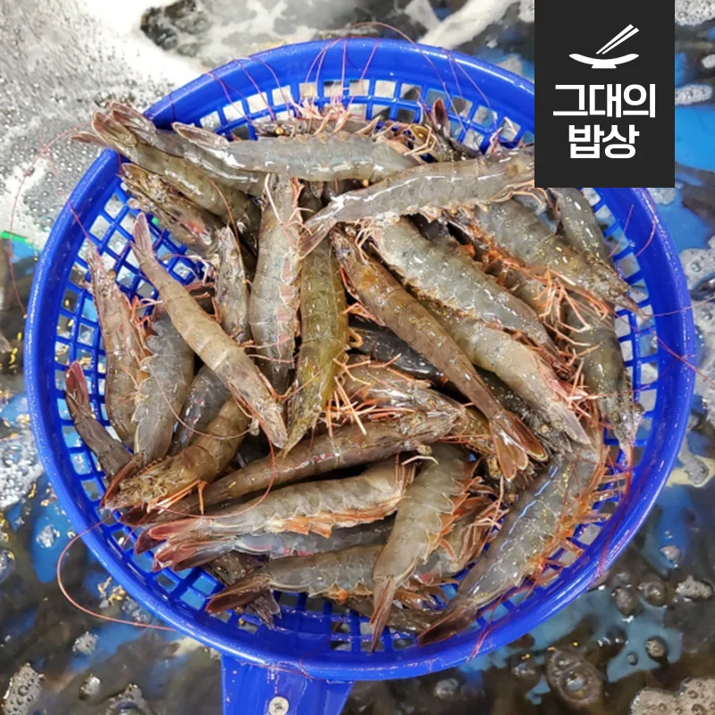 Songguk mountain White-leg shrimp (King shrimp) around 35 mi per 1kg