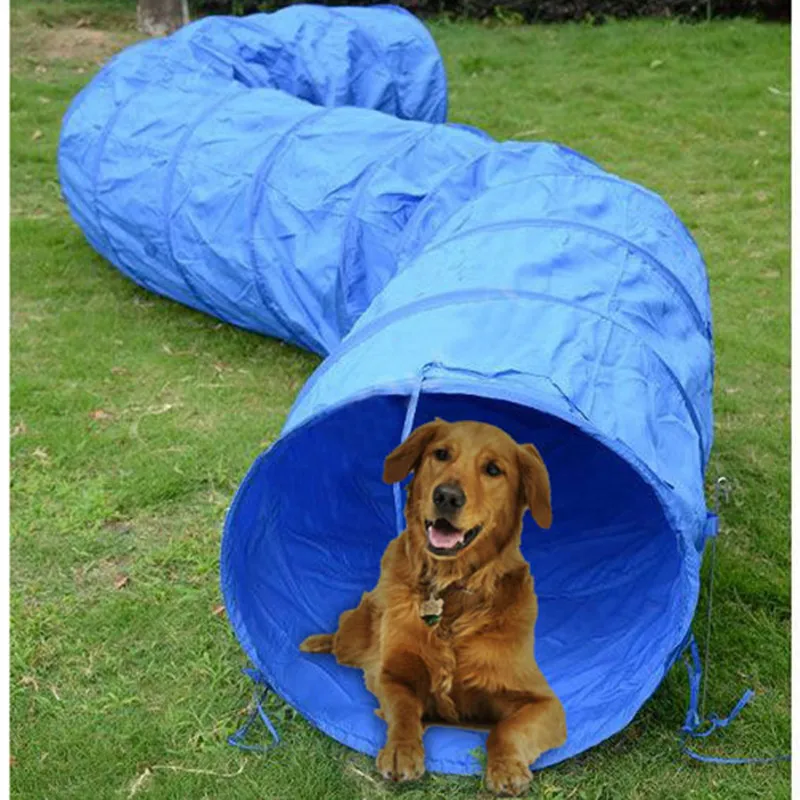 Pet Ausbildung Tunnel Hindernis Interaktive Hund Agility Ausrüstung Outdoor Spiele Runway Oxford Tuch Nagel Tasche Zelt Pet Spielzeug