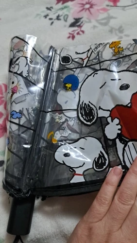 실물 포토 리뷰