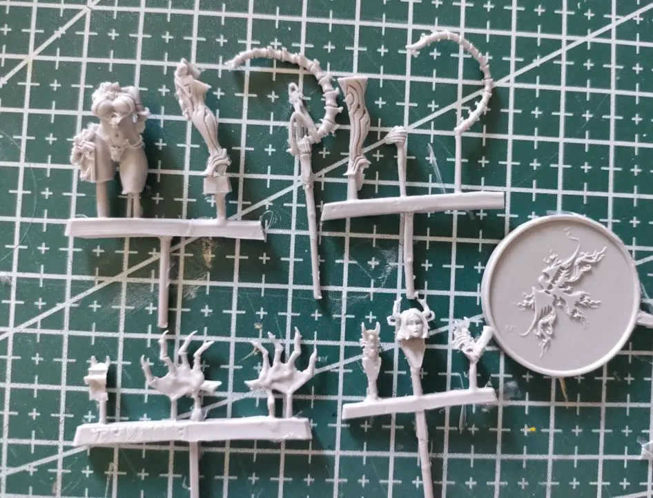 Buyer photo of this resin kit