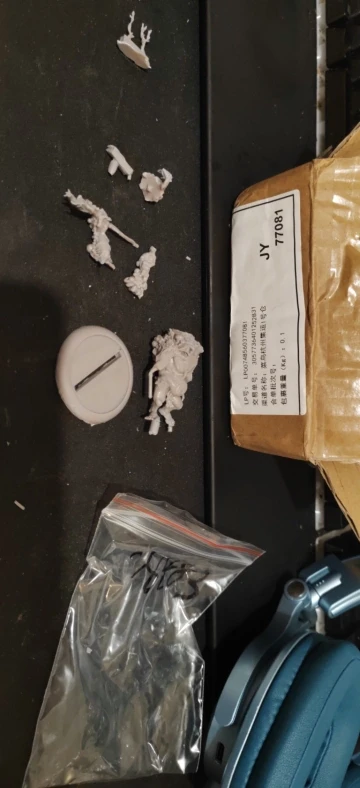 Buyer photo of this resin kit