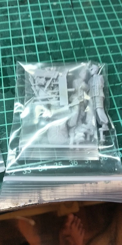 Buyer photo of this resin kit