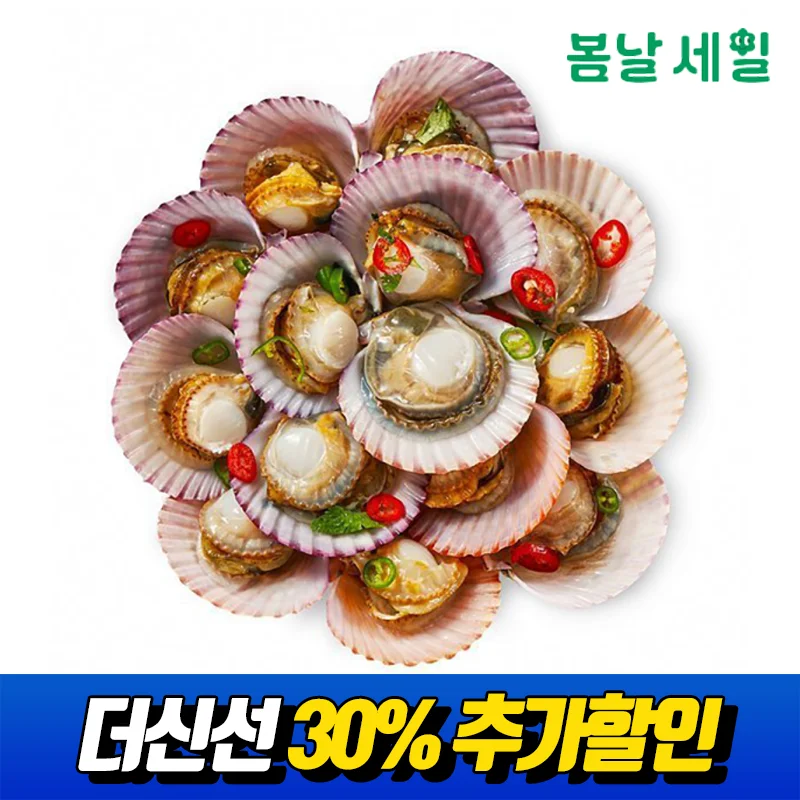 Tongyeong-made bow scallops 3kg 60-75 of them / red chili pepper paste presentation