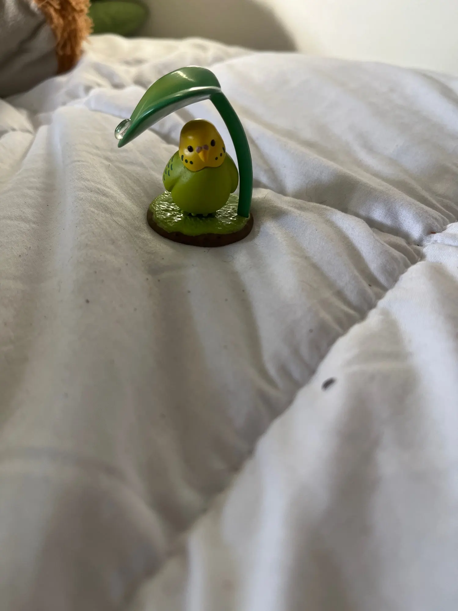 Foto de reseña de C***r 🇨🇱