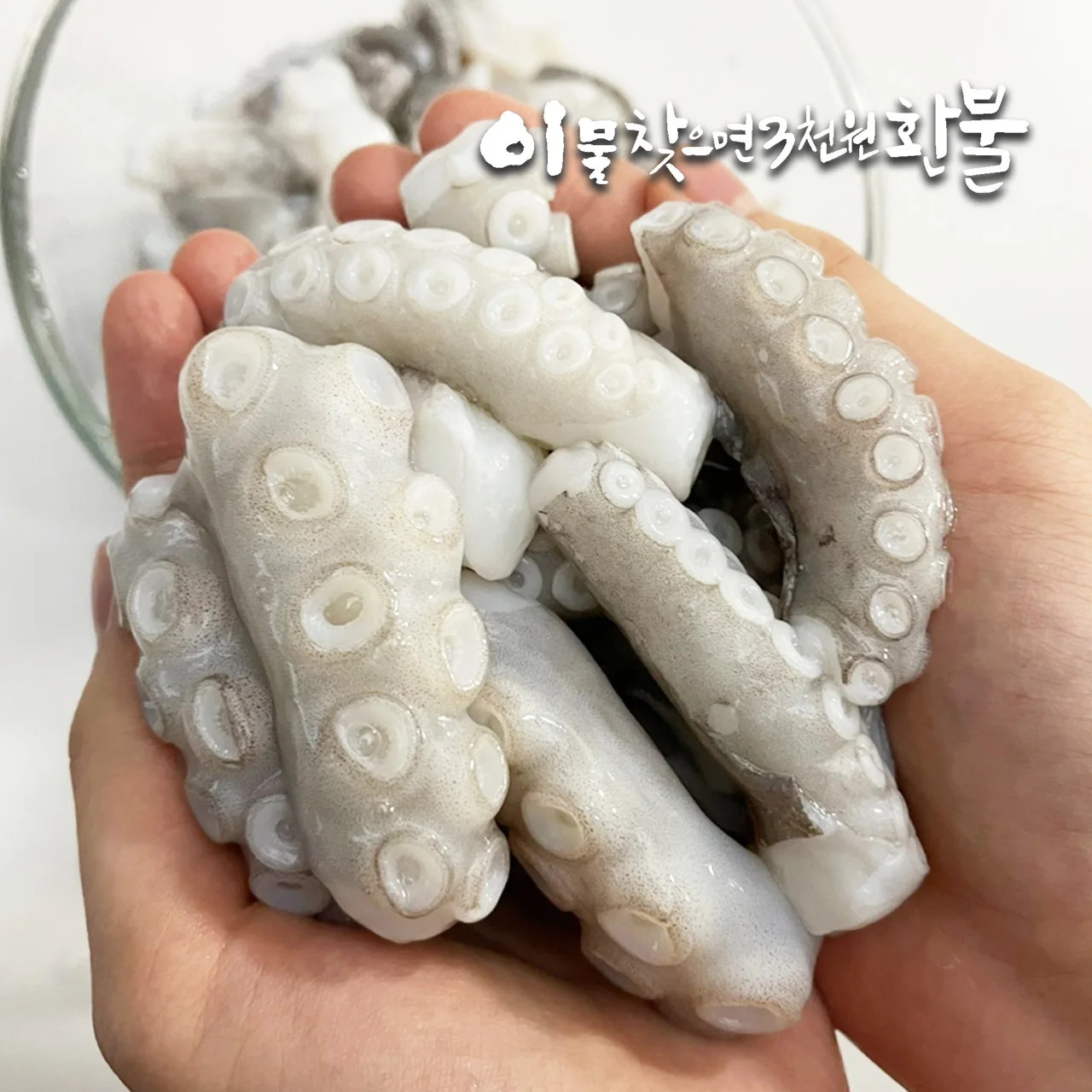손질촉촉 왕특대(XXL) 낙지 1.8kg(450g×4팩)|낙지볶음(자갈치비법소스4봉)