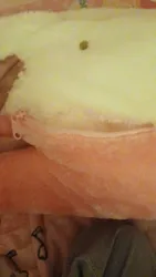 Imagen de reseña 2