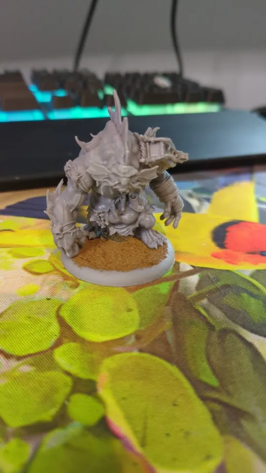 Buyer photo of this resin kit
