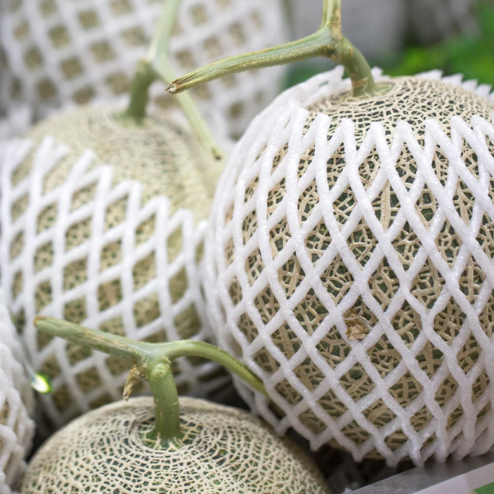 프리미엄 고당도 머스크 멜론