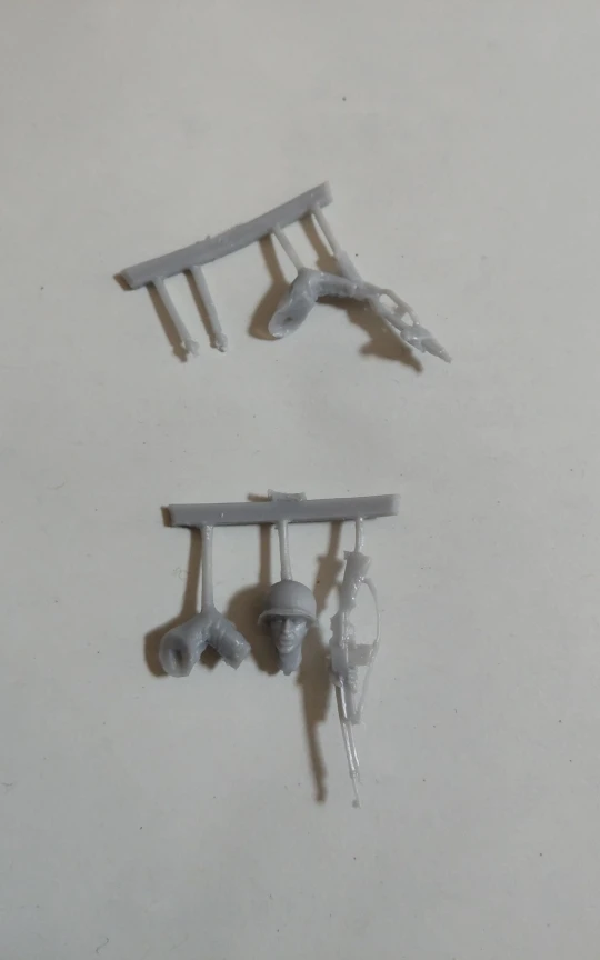 Buyer photo of this resin kit