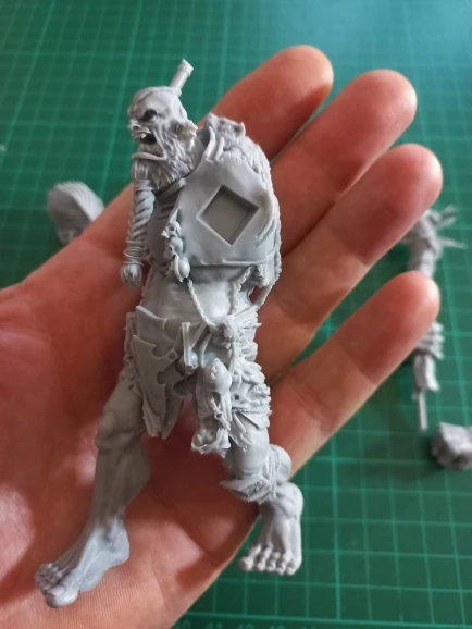 Buyer photo of this resin kit