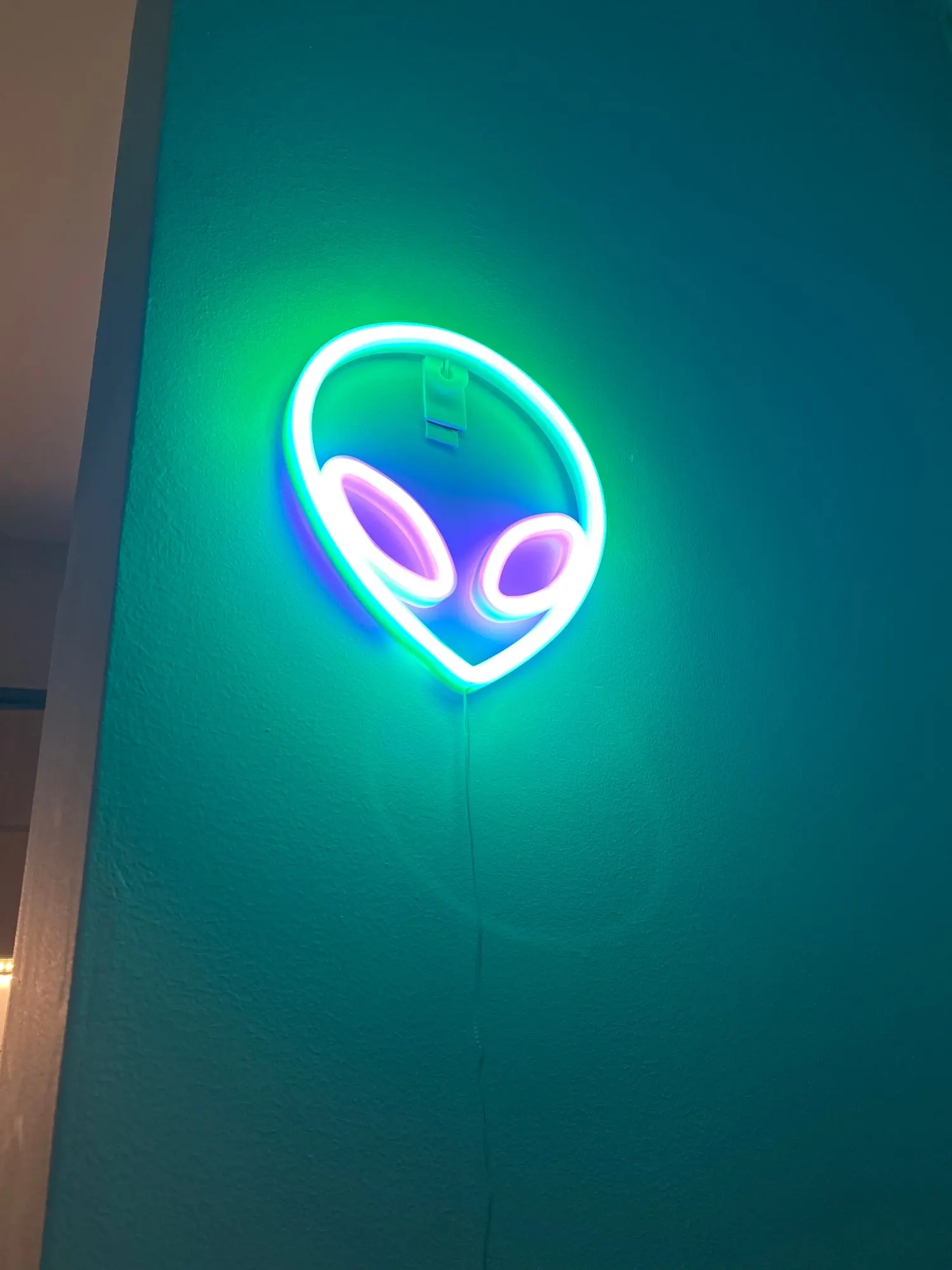 리뷰 사진
