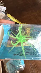 Imagen de reseña 1