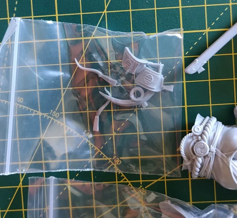 Buyer photo of this resin kit