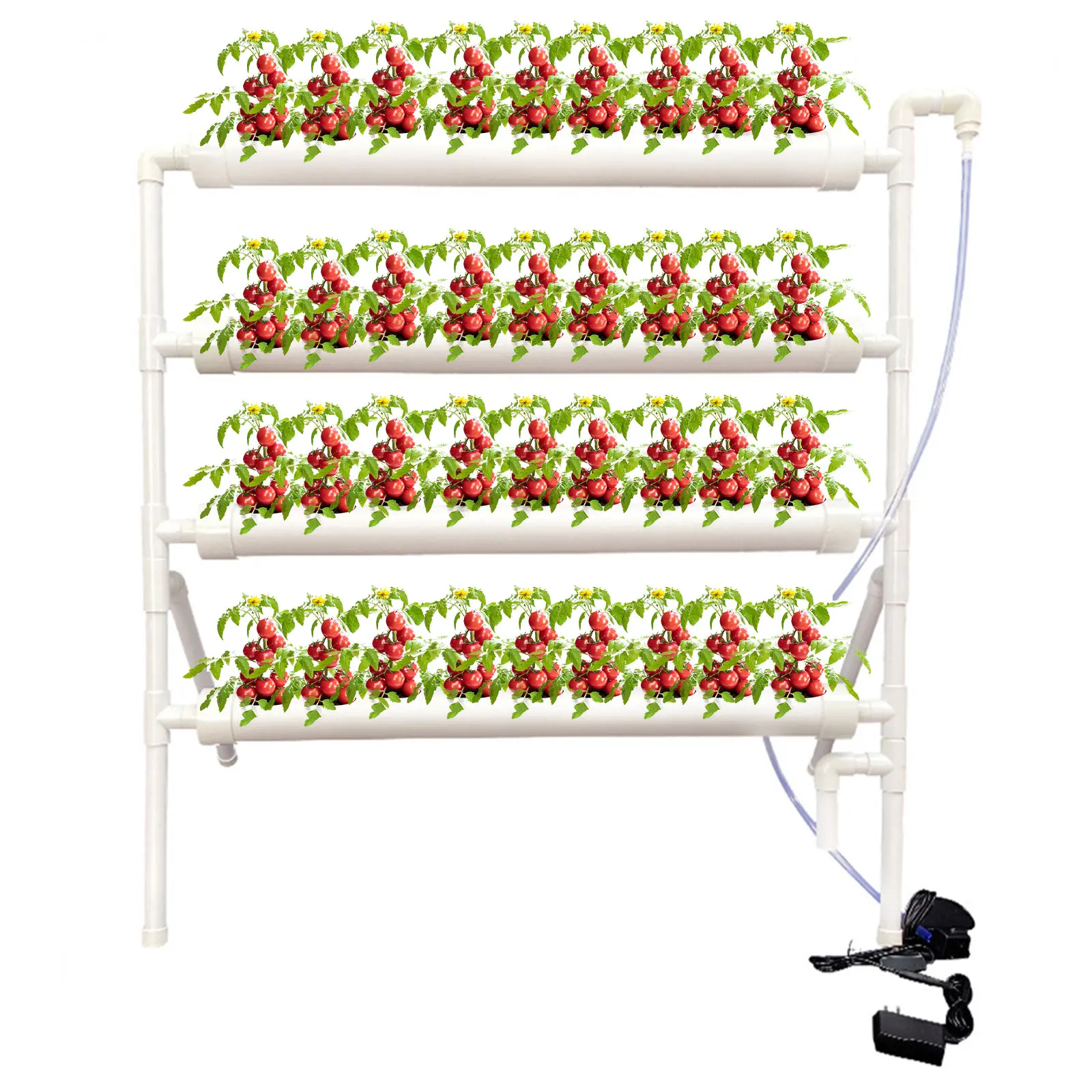 Understanding the Importance of Plants Root for Healthy Growth and Indoor Gardening Success