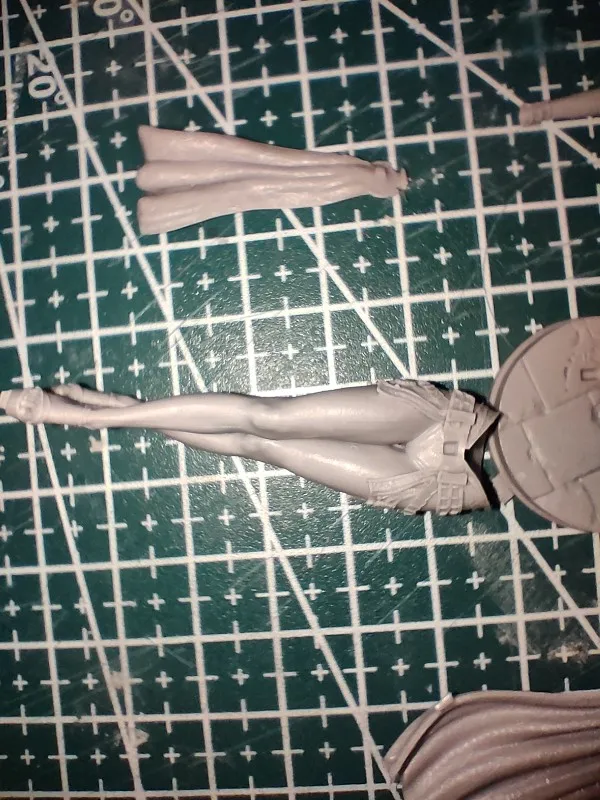 Buyer photo of this resin kit