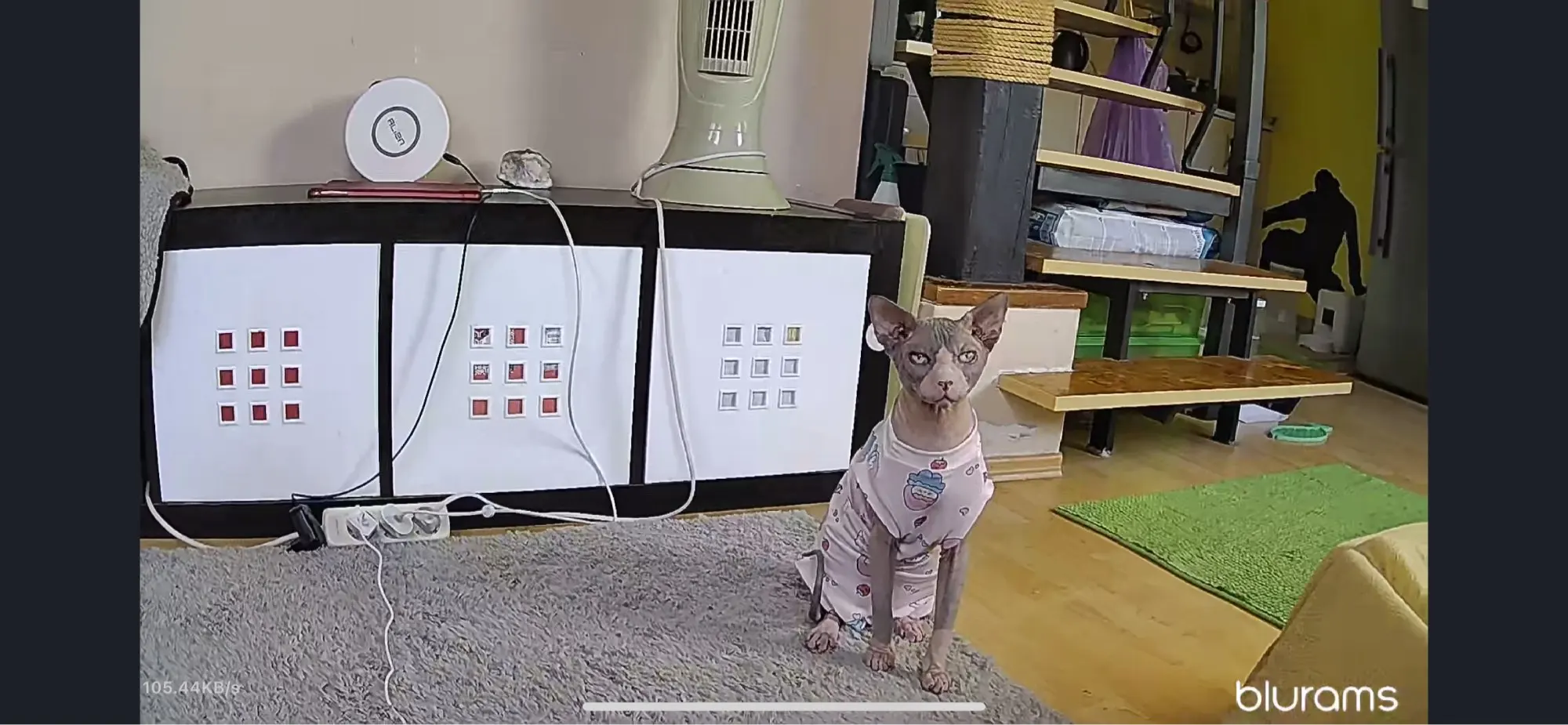 구매후기