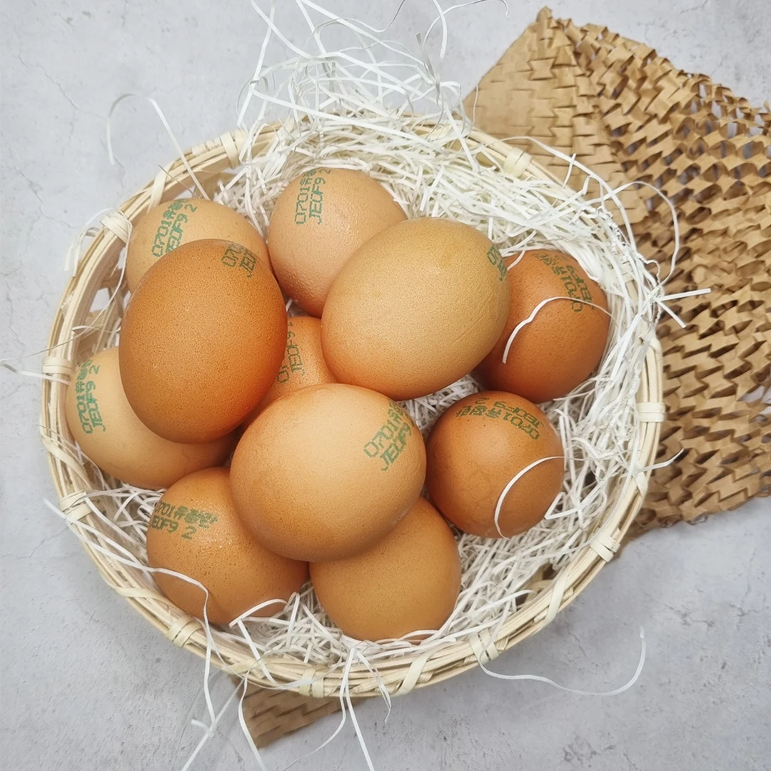 بيض طبيعي عضوي لرعاية الحيوانات ، 20 ، بيض صحة الحيوان ، 2 جم #2
