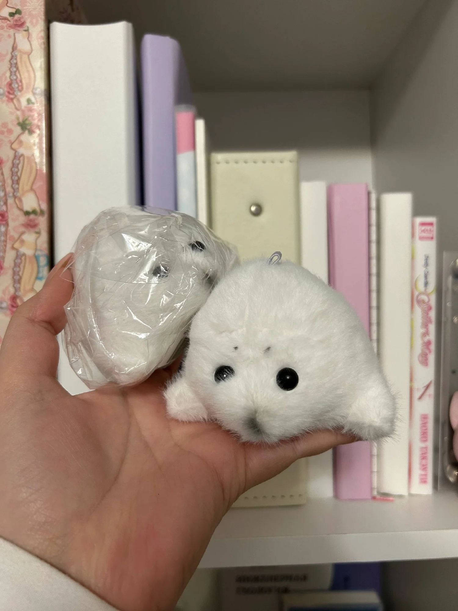 실물 포토 리뷰