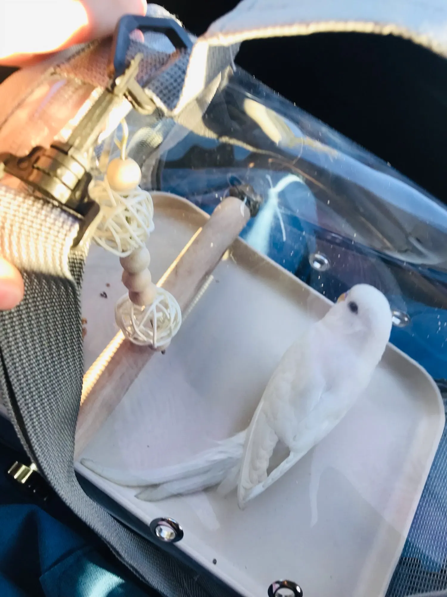 Review image 1
