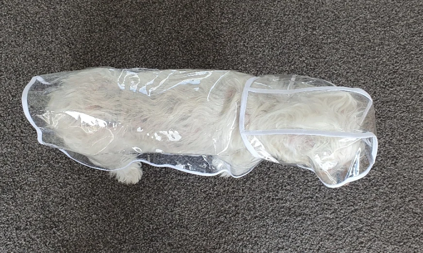 Customer review photo for Clear Water-Resistant Dog Raincoat with Harness Opening