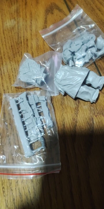 Buyer photo of this resin kit