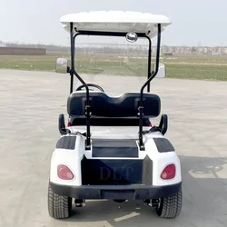 China Electric Off-Road Vehicle Luxury 48 Volt 2 Seats 4 Wheels 3.5KW Motor Mini Street Legal Adult Golf Cart