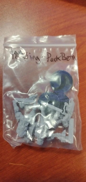 Buyer photo of this resin kit