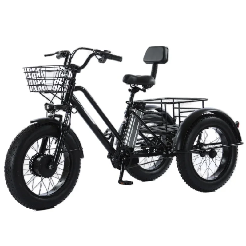 Vélo Cargo électrique à trois roues pour hommes, 20 pouces, gros pneu, Double faisceau solide, 500W 48V, Tricycle électrique de montagne de neige