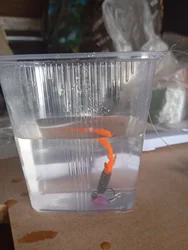 Imagen de reseña 5