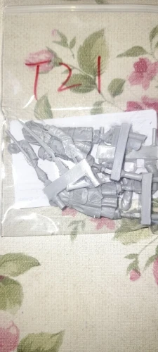 Buyer photo of this resin kit