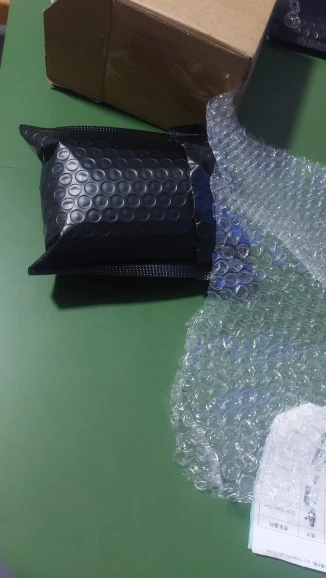 Buyer photo of this resin kit