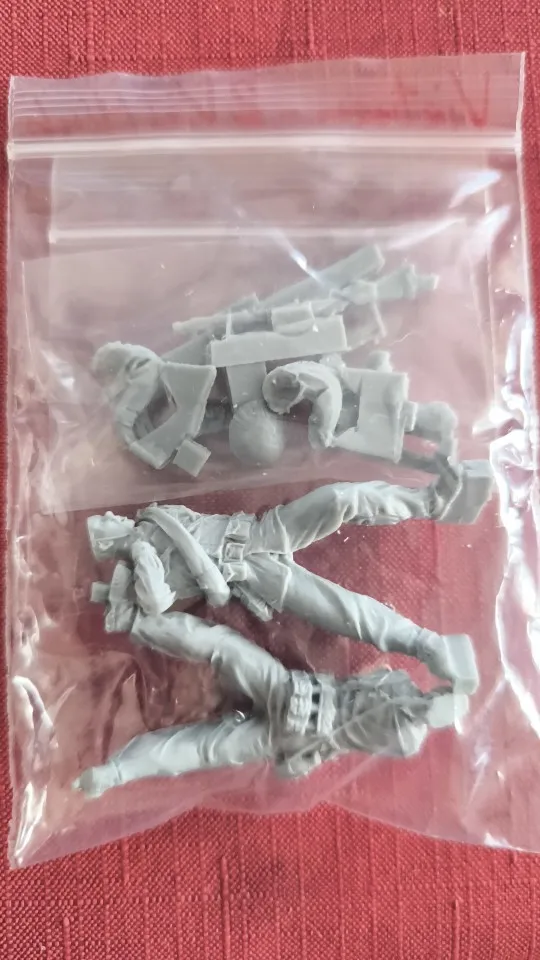 Buyer photo of this resin kit