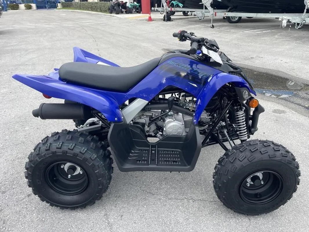 Original 2024 Yamas Raptor 110 Recreation/Utility