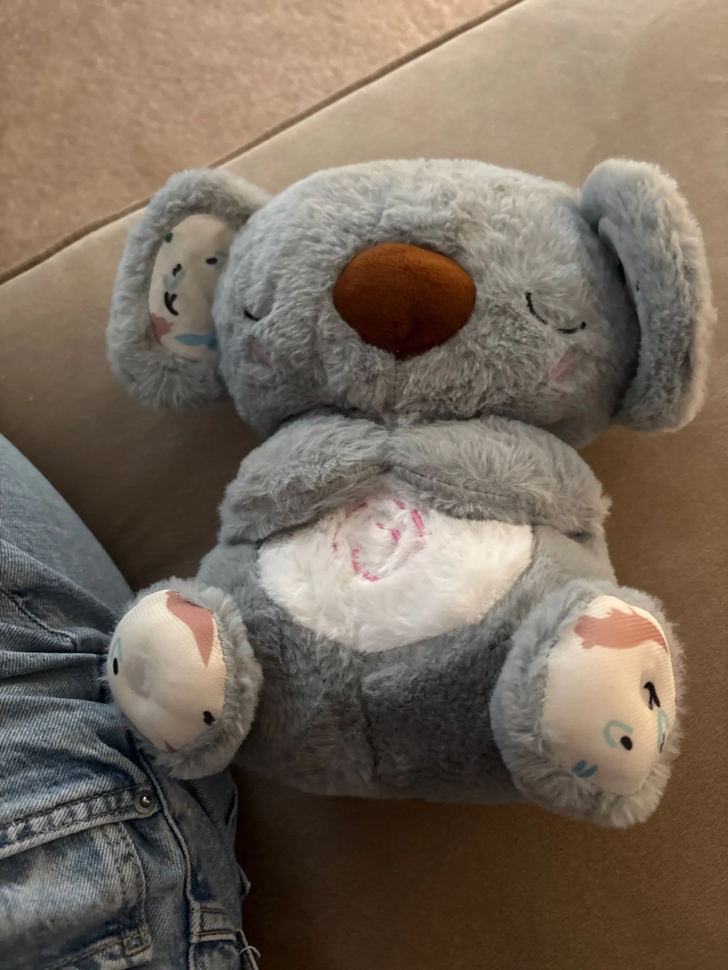 Koala Reseña 2