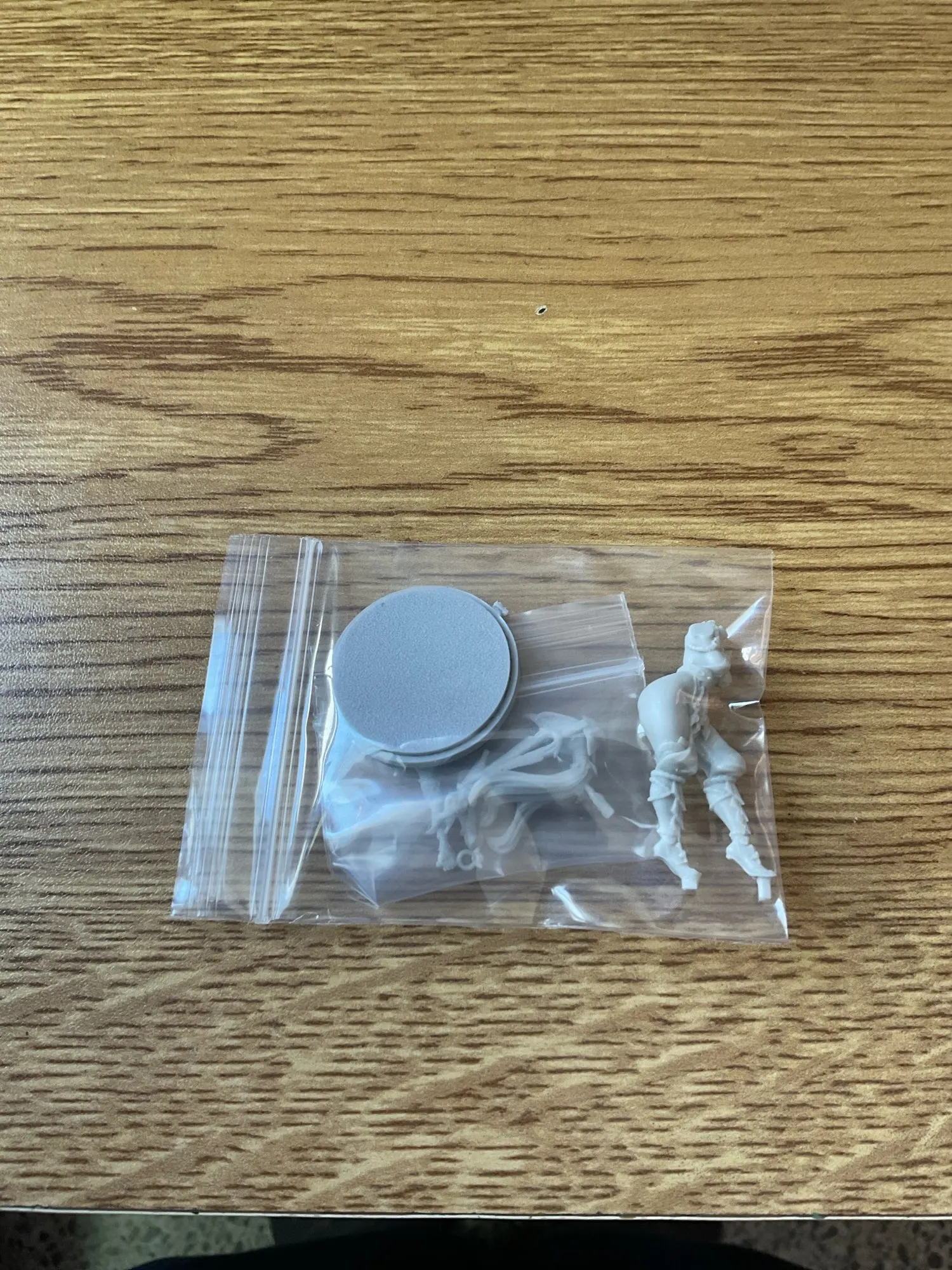Buyer photo of this resin kit