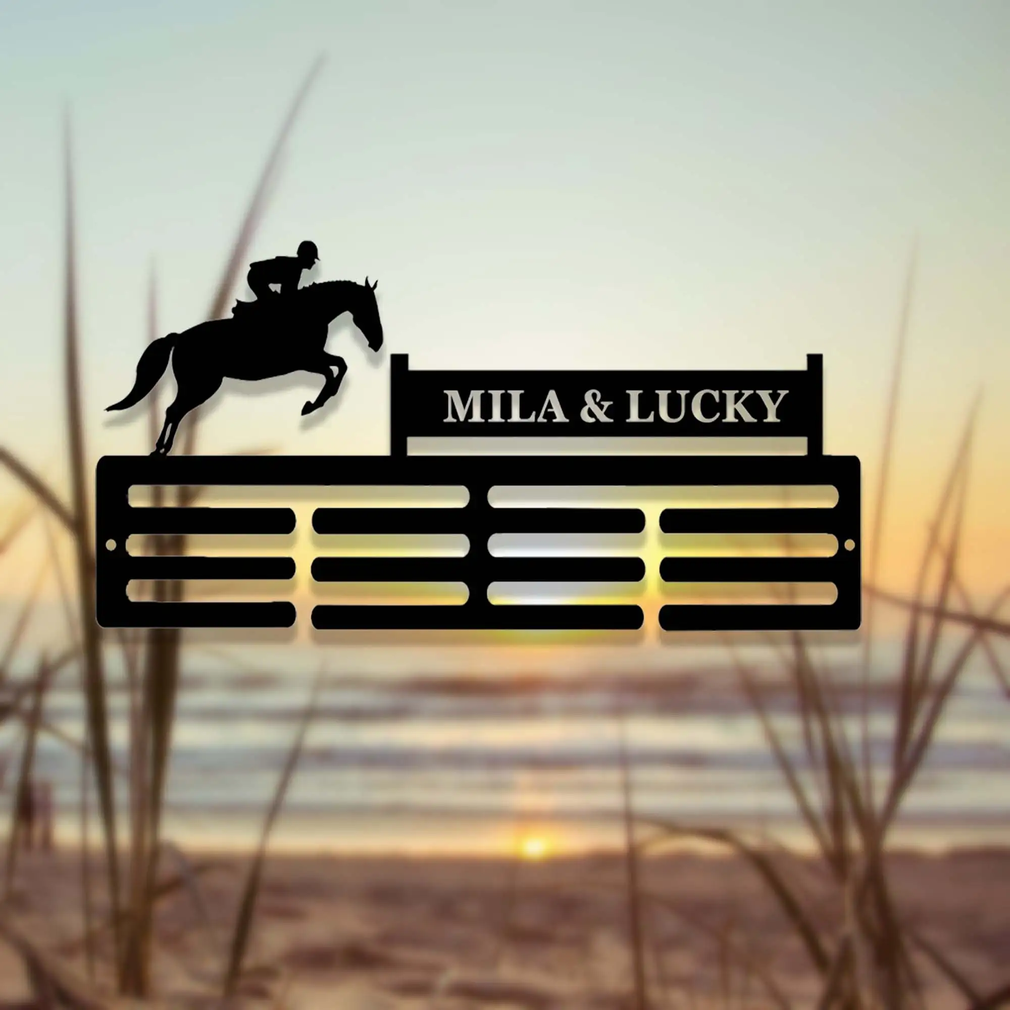 Personalized Horse Rosette Holder,Medal Holder,Custom Horse Medal Hanger,12 Rungs for Medals &